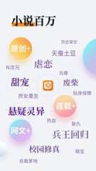 开元最新版本APP下载